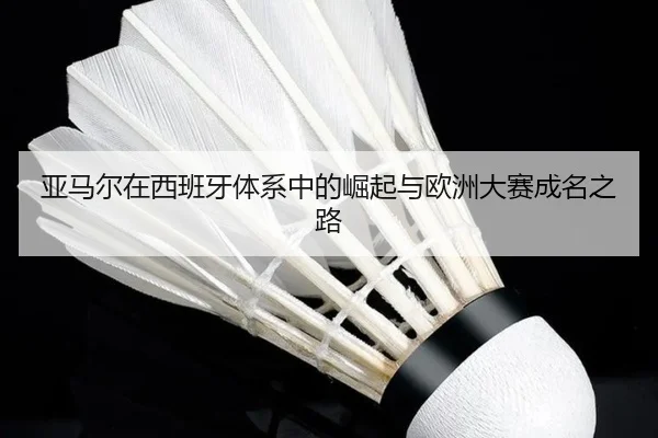 亚马尔在西班牙体系中的崛起与欧洲大赛成名之路（leyu）